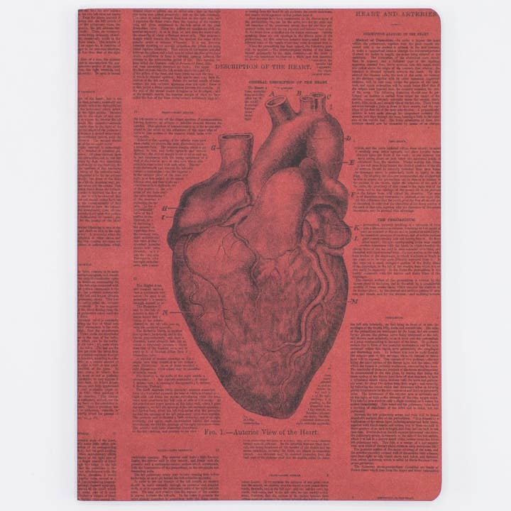 Anatomical Heart Softcover Notebook - Lined Pages