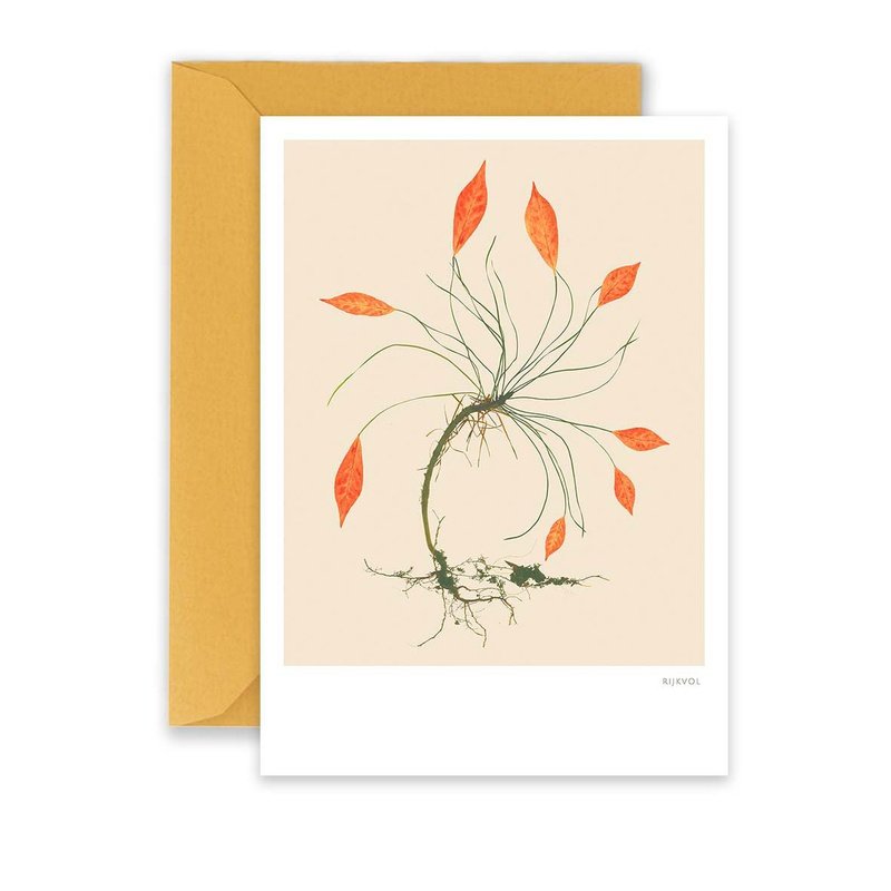 Kaart Flower Collage 02