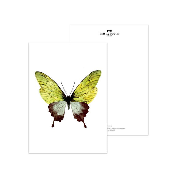 Carte Butterfly verte