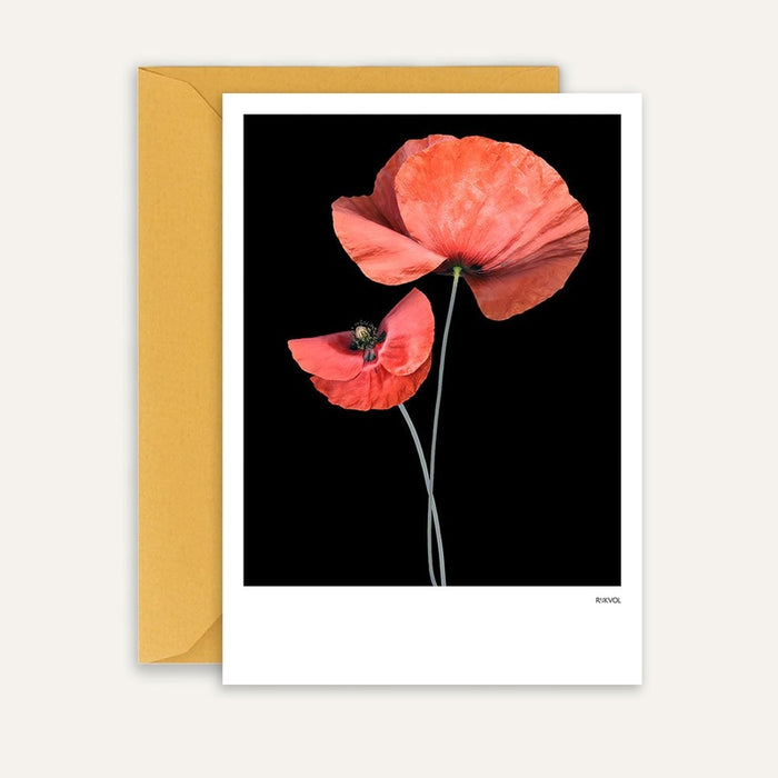 Carte Poppy 04 | Édition noire