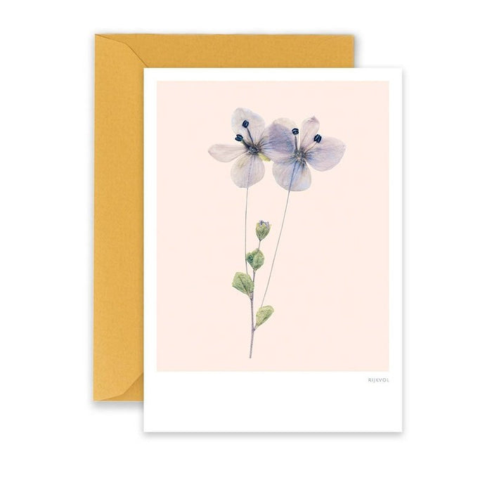 Carte fleurs sauvages 01