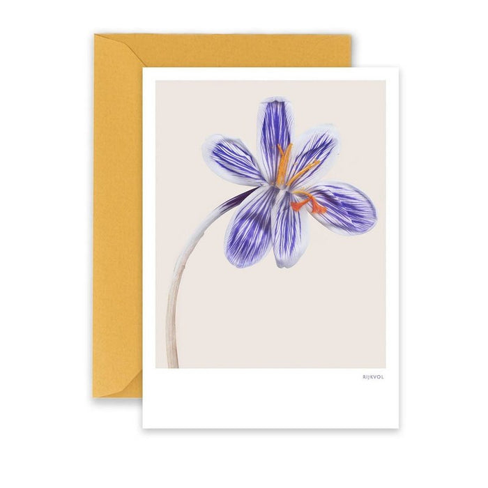 Carte Crocus 03