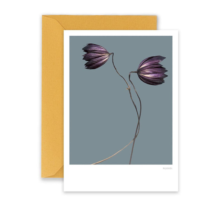 Carte Purple Flower 01