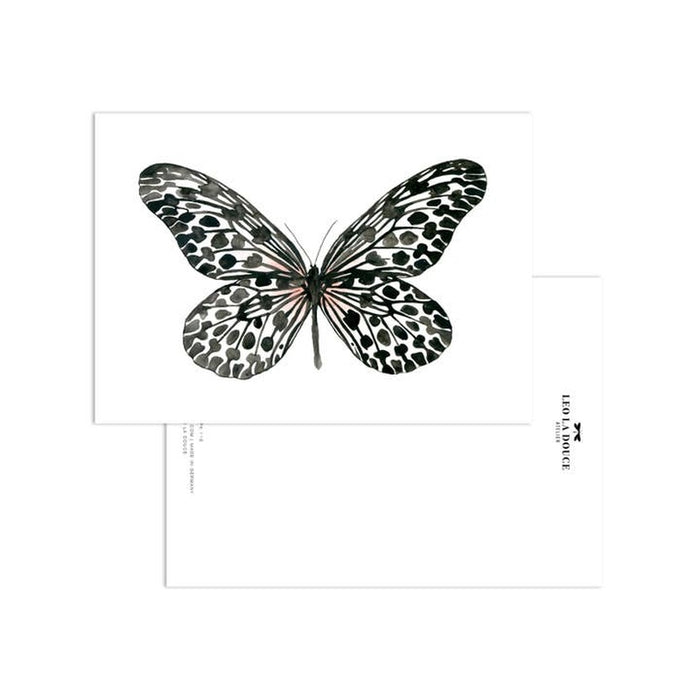 Carte Black Butterfly