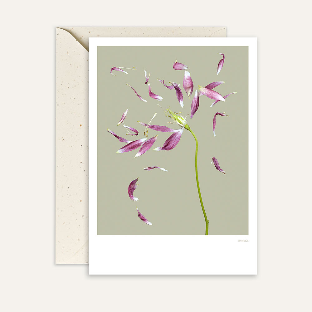 Carte Petallove 03 | Vert