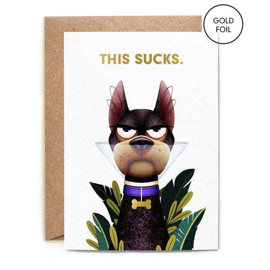 Kaart This Sucks